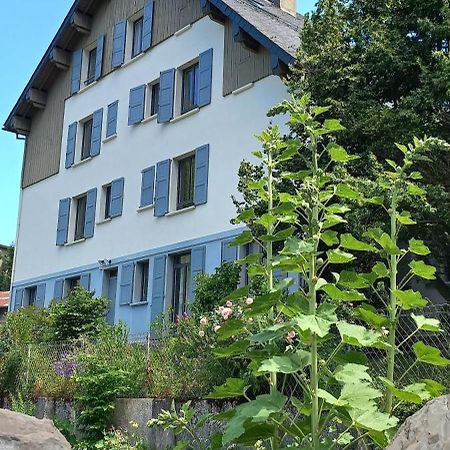לוז-סן-סובר Chalet Du Doumet - Appart Luz Centre - Parking Et Garage Individuel Ferme - Draps Et Serviettes Inclus מראה חיצוני תמונה